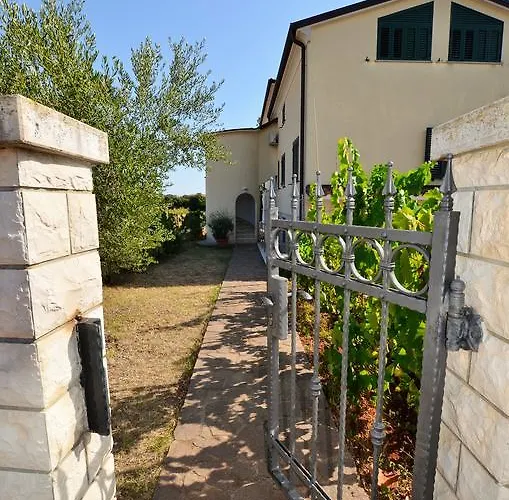 Sv. Pelegrin Umag