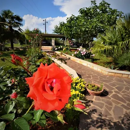 Апартаменты Sv. Pelegrin