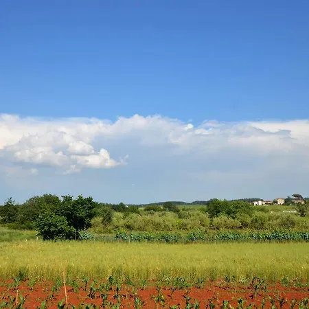 Апартаменты Sv. Pelegrin *