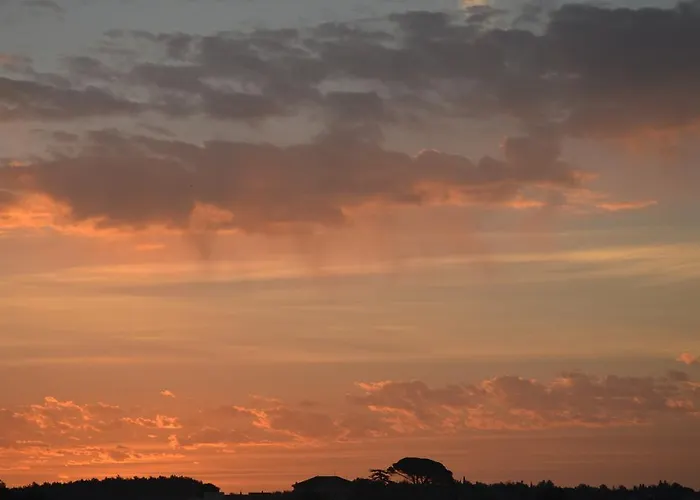 Sv. Pelegrin Apartman *