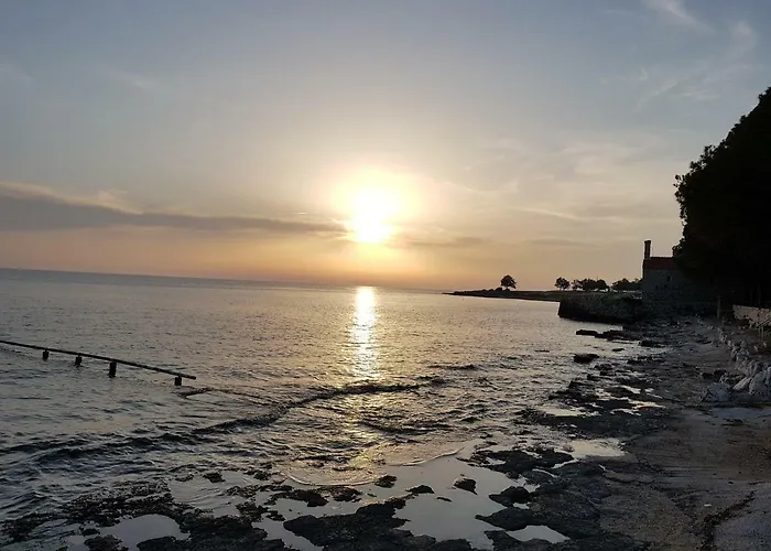 Sv. Pelegrin Apartman *